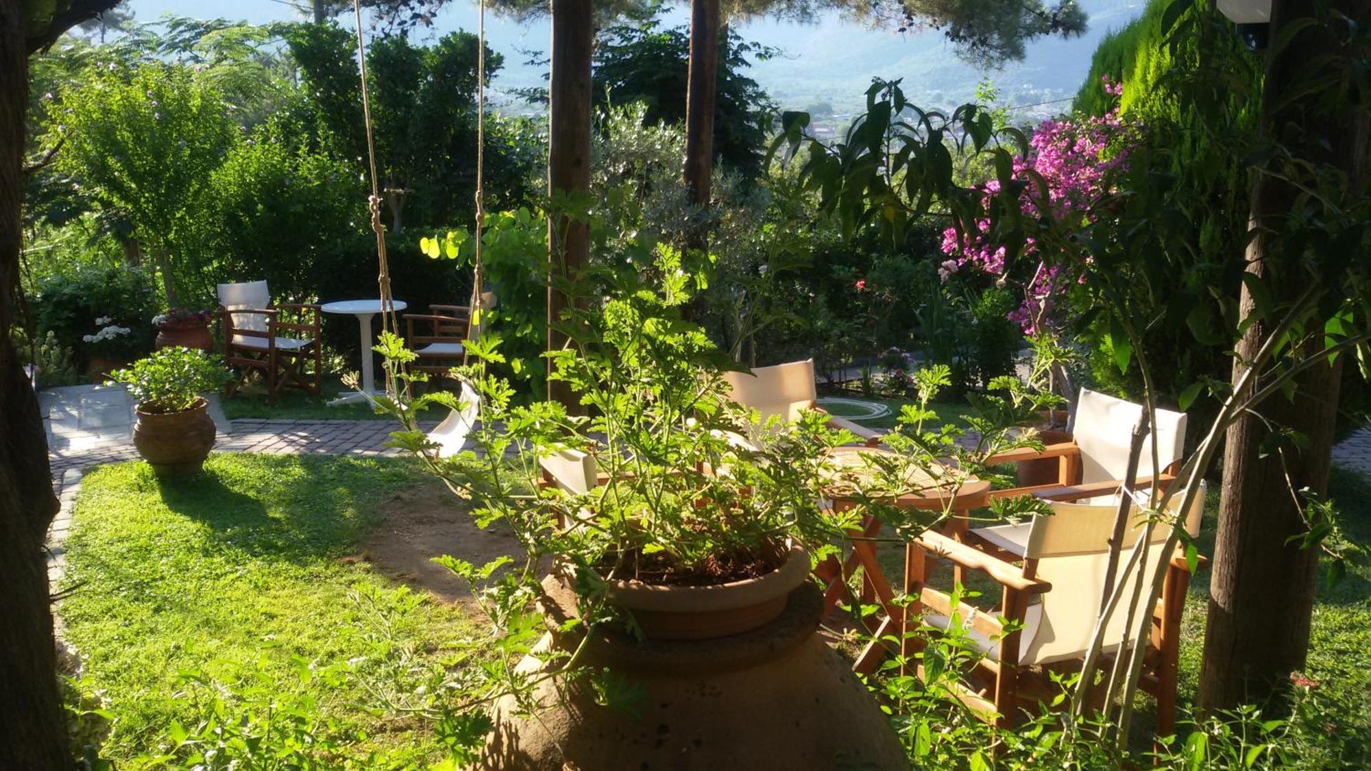 Villa Dimitra 斯卡拉伯塔麦斯 外观 照片