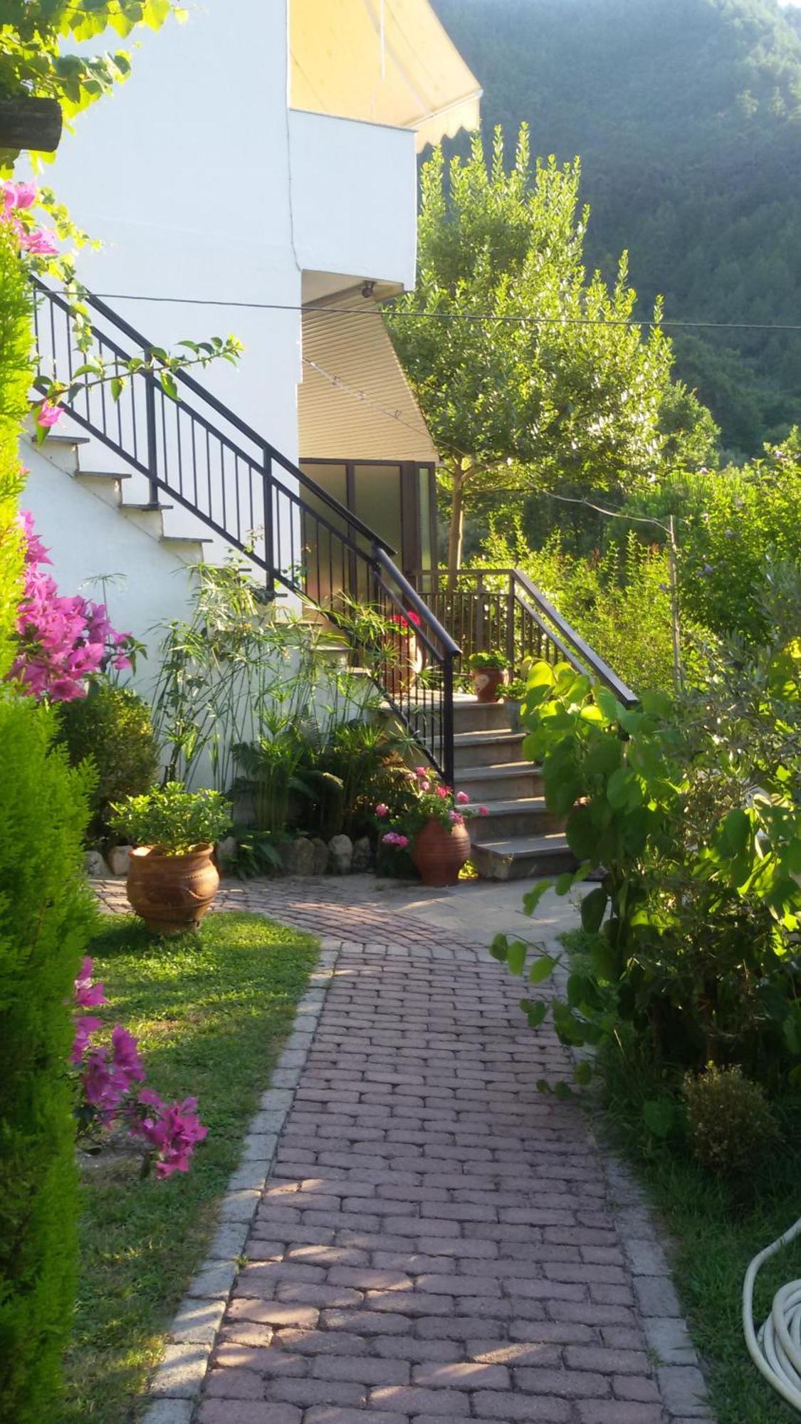 Villa Dimitra 斯卡拉伯塔麦斯 外观 照片