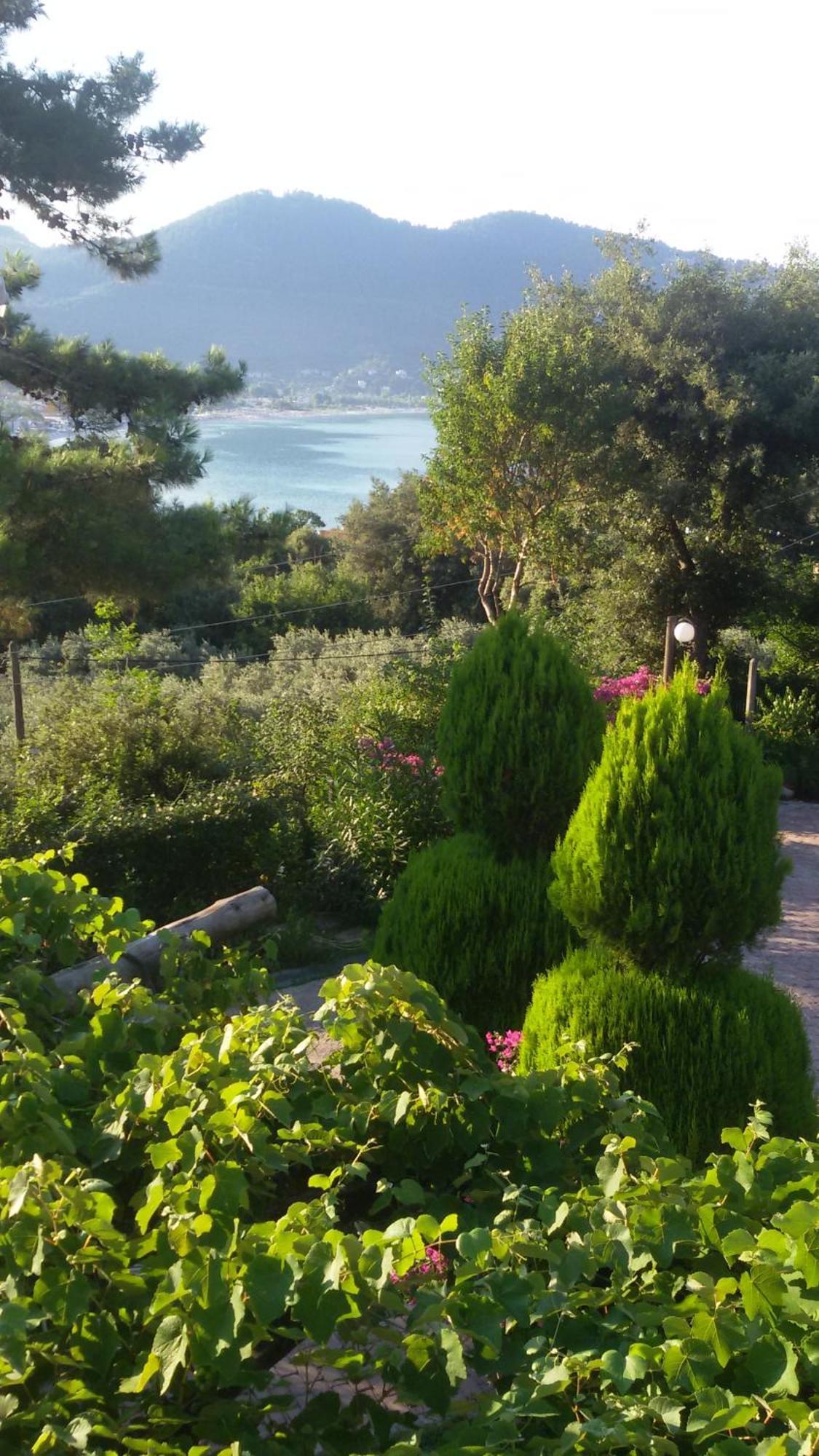 Villa Dimitra 斯卡拉伯塔麦斯 外观 照片