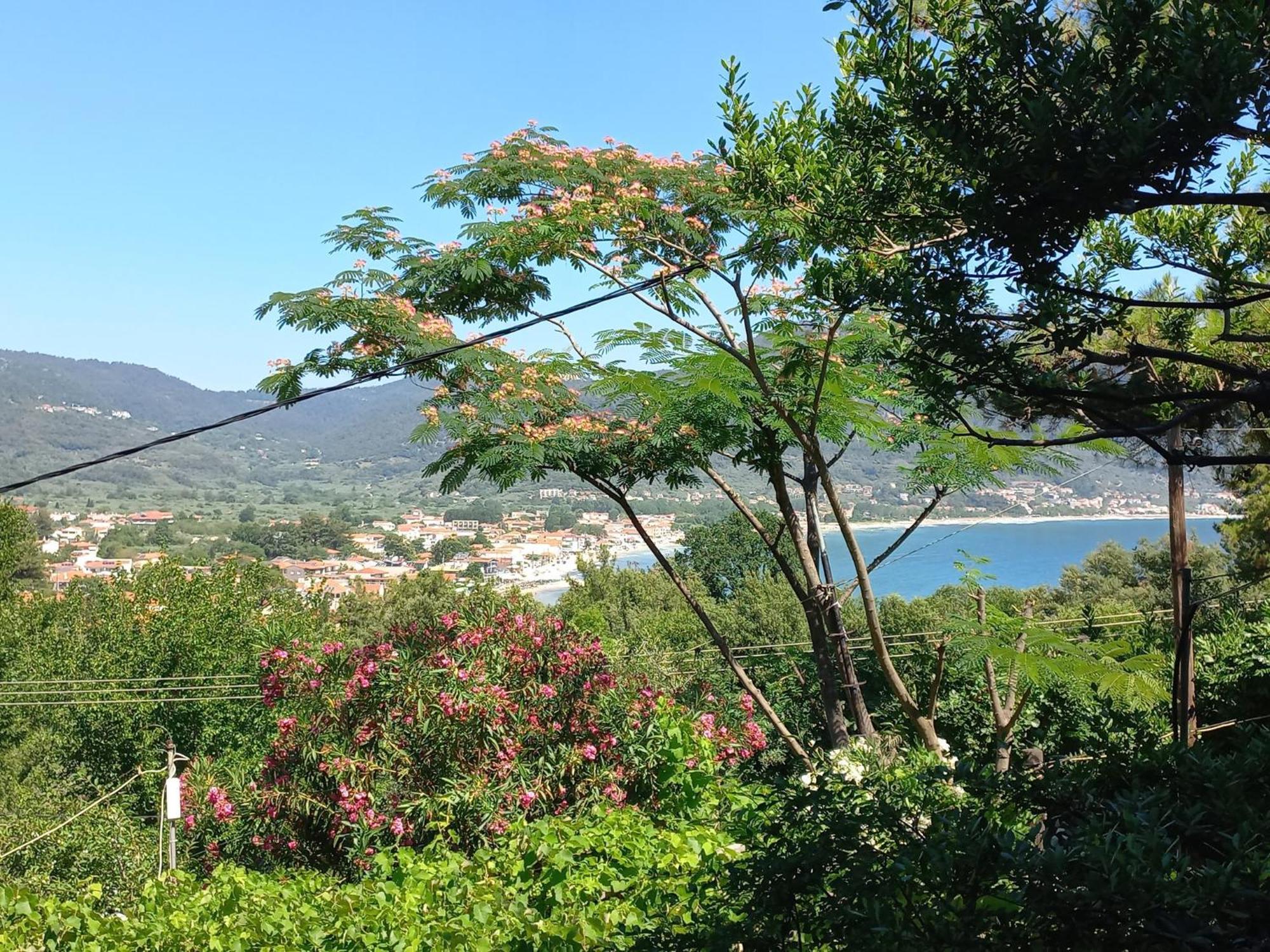 Villa Dimitra 斯卡拉伯塔麦斯 外观 照片