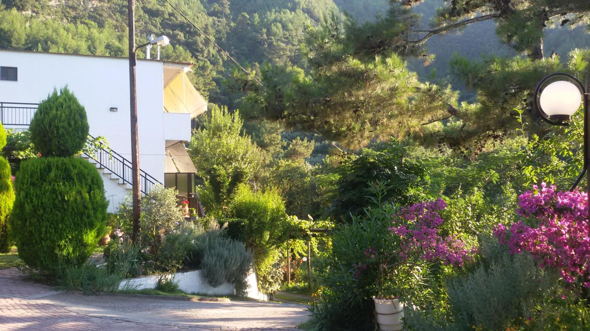 Villa Dimitra 斯卡拉伯塔麦斯 外观 照片