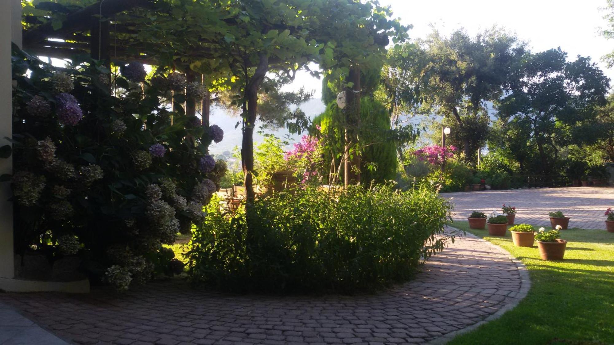 Villa Dimitra 斯卡拉伯塔麦斯 外观 照片