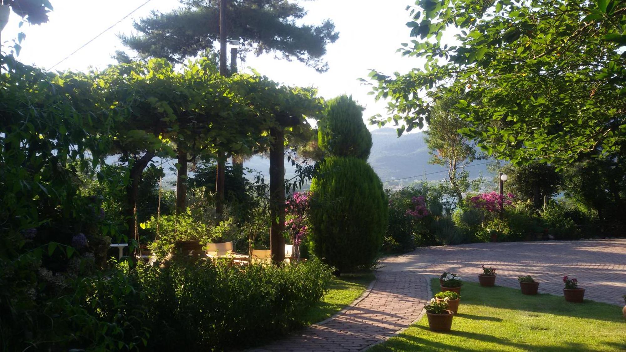 Villa Dimitra 斯卡拉伯塔麦斯 外观 照片