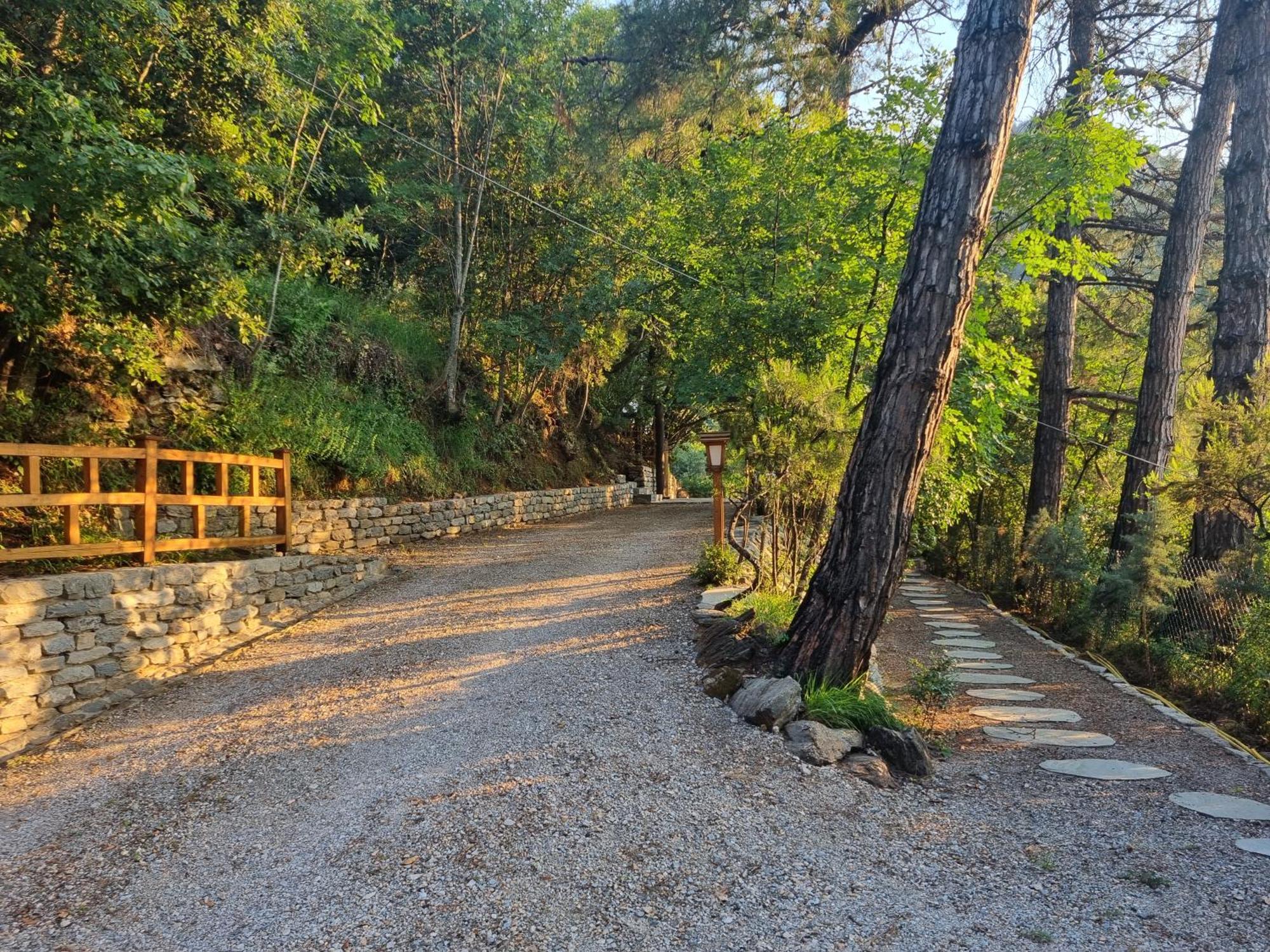 Villa Dimitra 斯卡拉伯塔麦斯 外观 照片