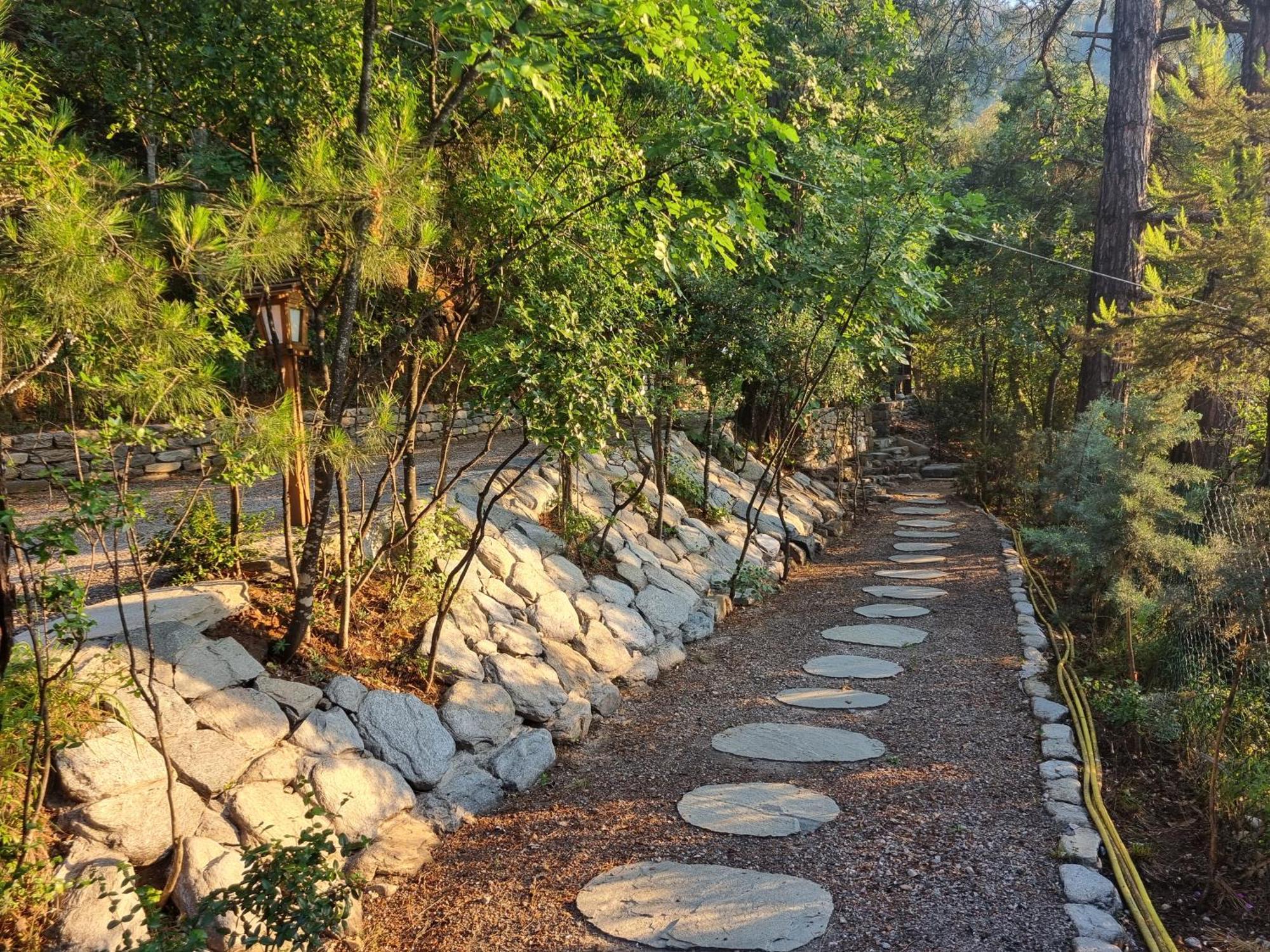 Villa Dimitra 斯卡拉伯塔麦斯 外观 照片