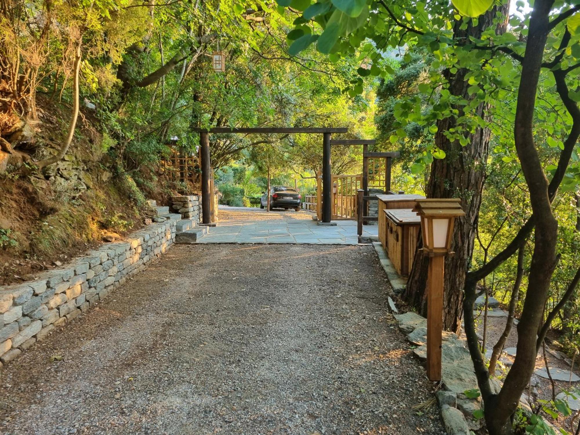 Villa Dimitra 斯卡拉伯塔麦斯 外观 照片