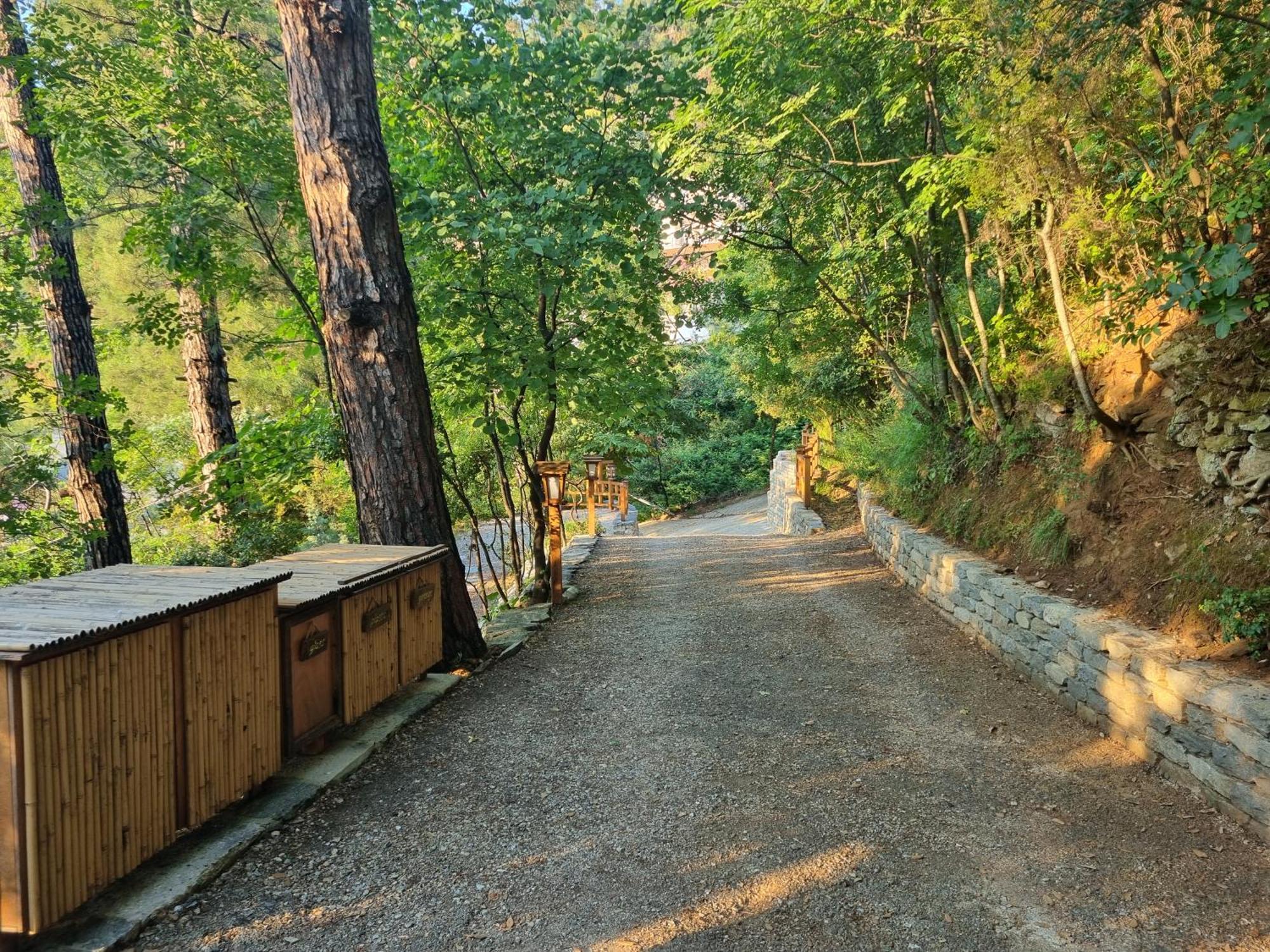 Villa Dimitra 斯卡拉伯塔麦斯 外观 照片